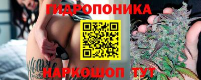 стаф Обнинск