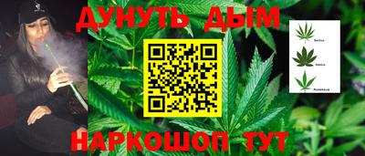 стаф Обнинск
