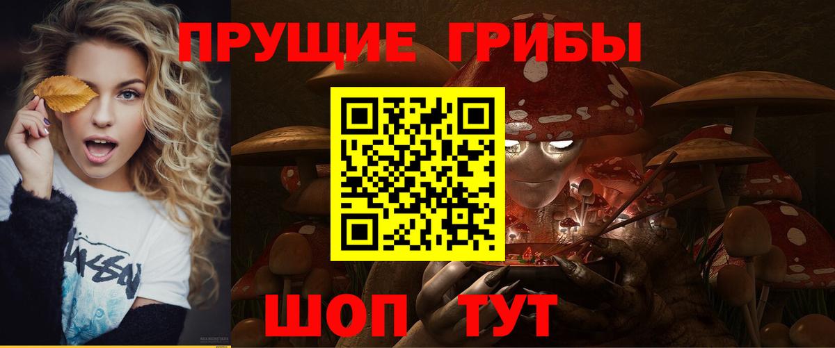 Галлюциногенные грибы Psilocybine cubensis  Вход с VPN  Псилоцибиновые грибы GOLDEN TEACHER  Севастополь 